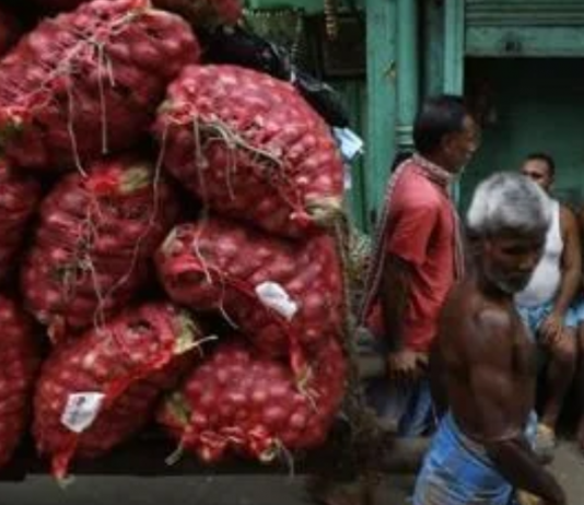 Dubious Citations Tell Their Own Story in the Economic Survey