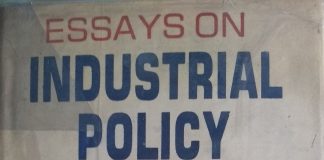 Essays on Industrial Policy