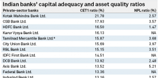 Low valuation, rising bad debt limit India state banks’ capital-raising options